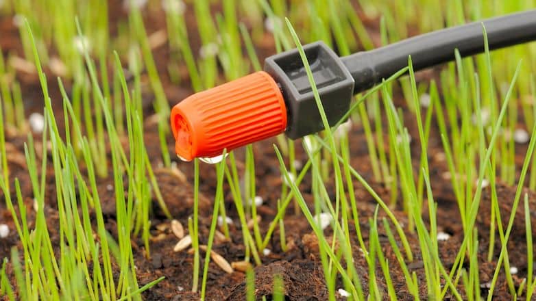 L’arrosage goutte-à-goutte : écologique et économique